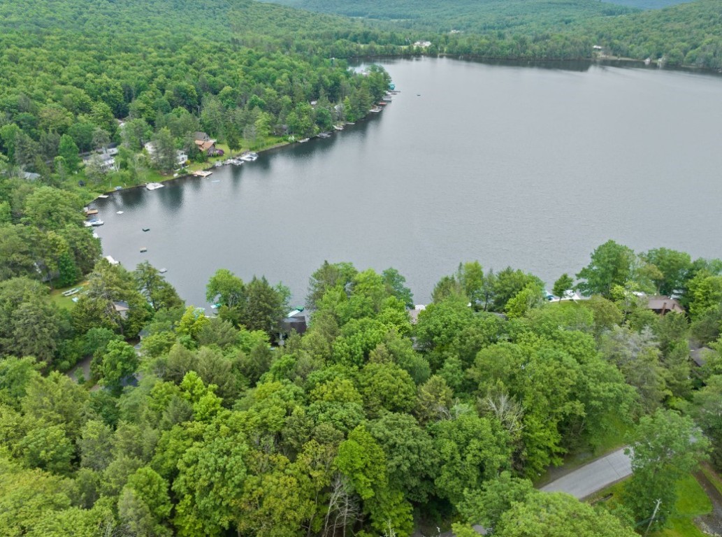 95-96 Hanson Road Deposit, NY 13754 - Photo 31 of 36 Gallery Image 31