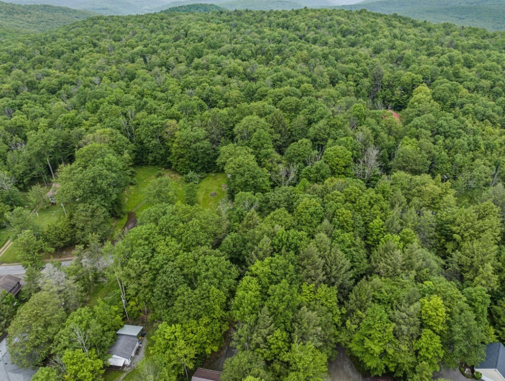 95-96 Hanson Road Deposit, NY 13754 - Photo 33 of 36 Gallery Image 33