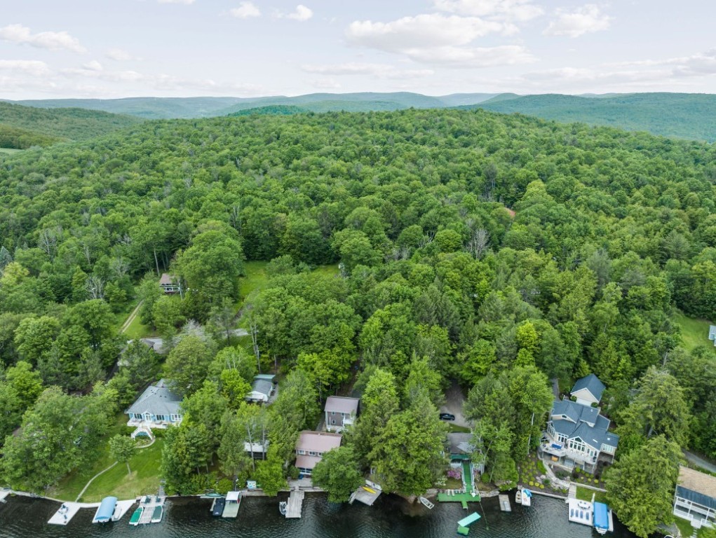 95-96 Hanson Road Deposit, NY 13754 - Photo 34 of 36 Gallery Image 34