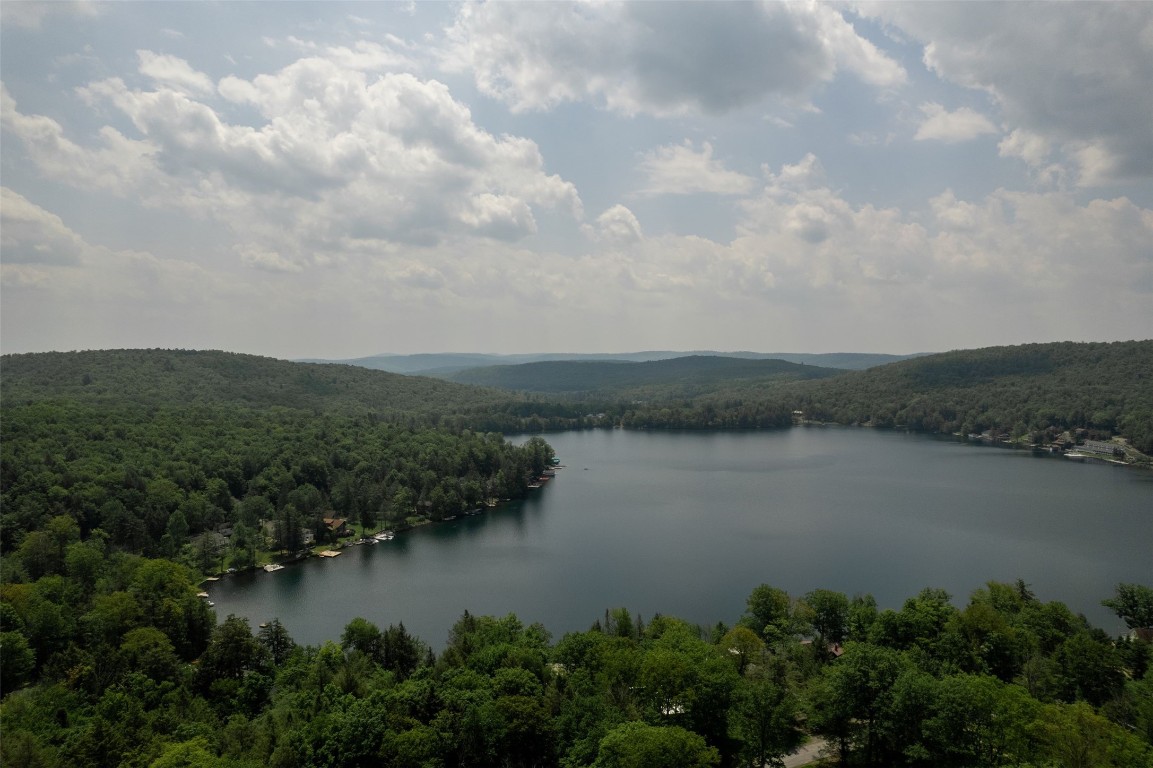 95-96 Hanson Road Deposit, NY 13754 - Photo 7 of 36 Gallery Image 7
