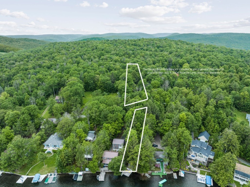 95-96 Hanson Road Deposit, NY 13754 - Photo 9 of 36 Gallery Image 9