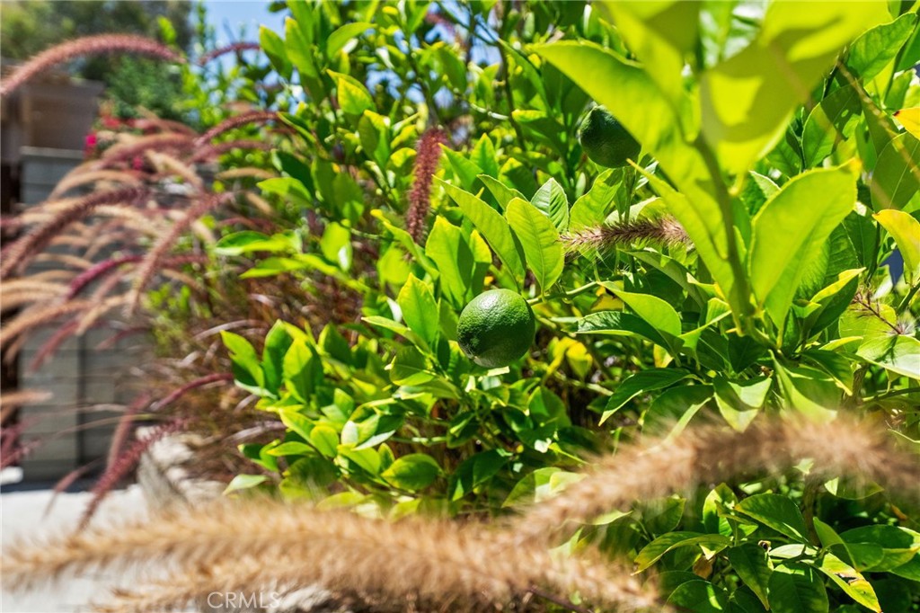 31475 Corte Mallorca Temecula, CA 92592 - Photo 26 of 51