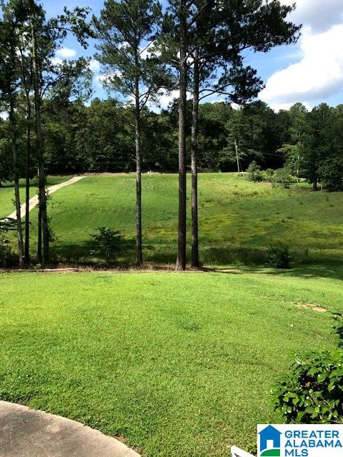 3499 Self Creek Road Pinson, AL 35126 - Photo 9 of 38