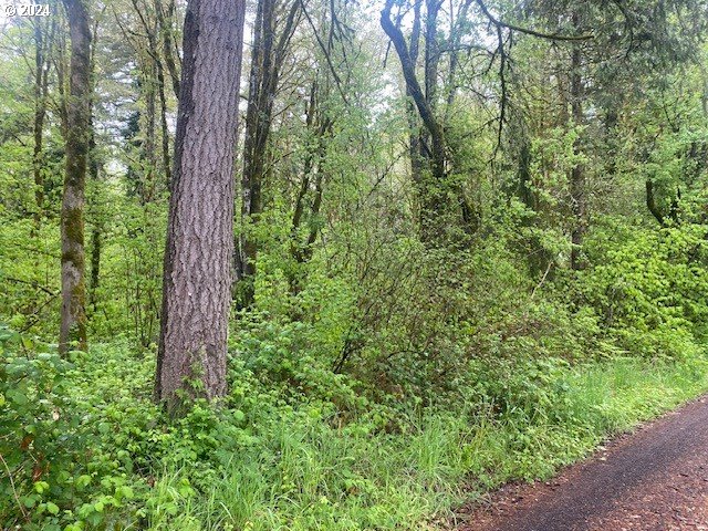 Seal Lane St. Helens, OR 97051 - Photo 1 of 8