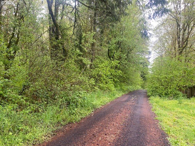 Seal Lane St. Helens, OR 97051 - Photo 2 of 8