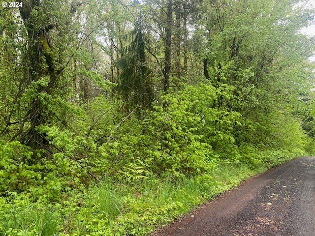 Seal Lane St. Helens, OR 97051 - Photo 3 of 8