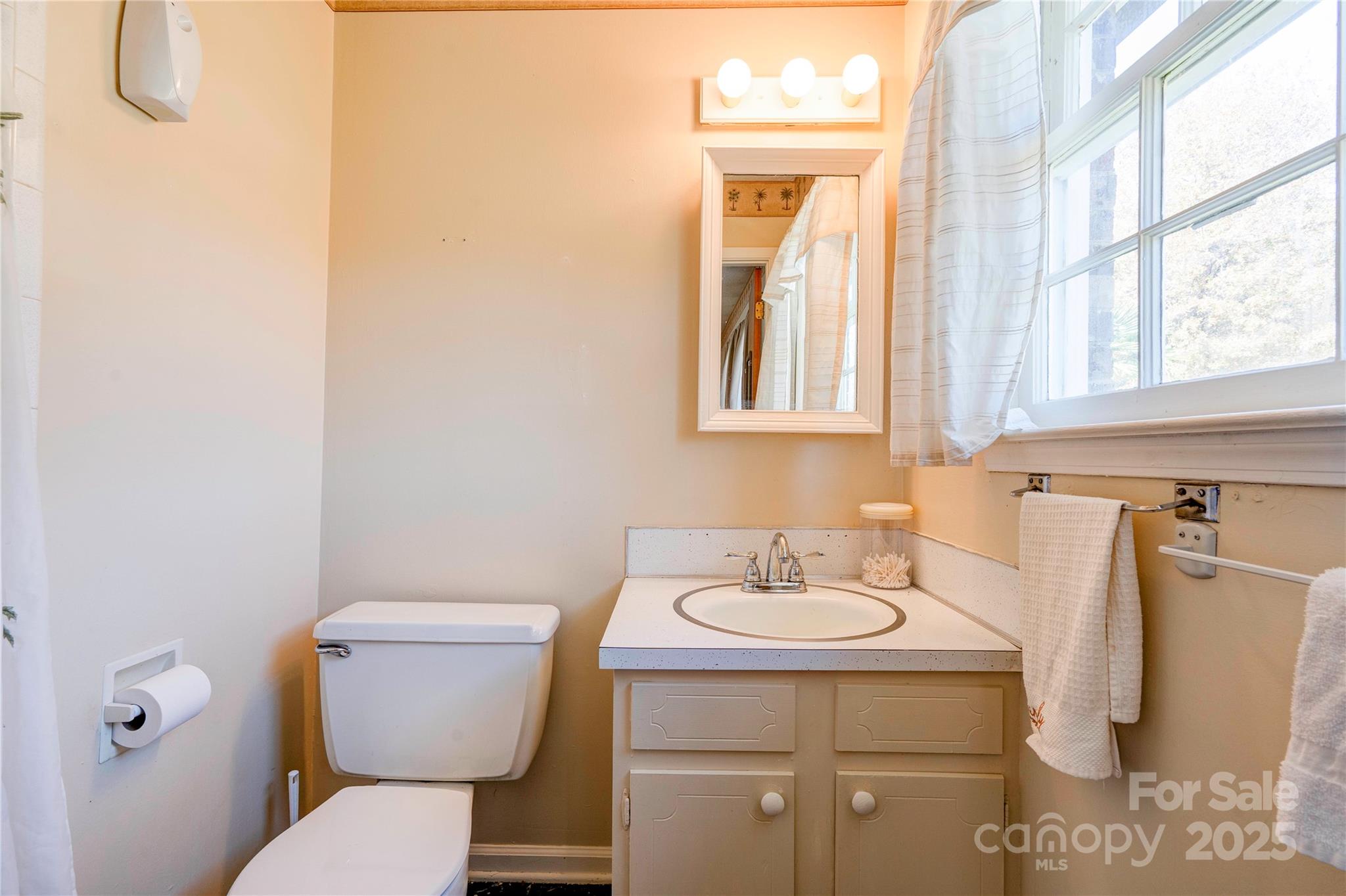 914 Parkwood Road Shelby, NC 28150 - Photo 12 of 40 a bathroom with a toilet sink and mirror