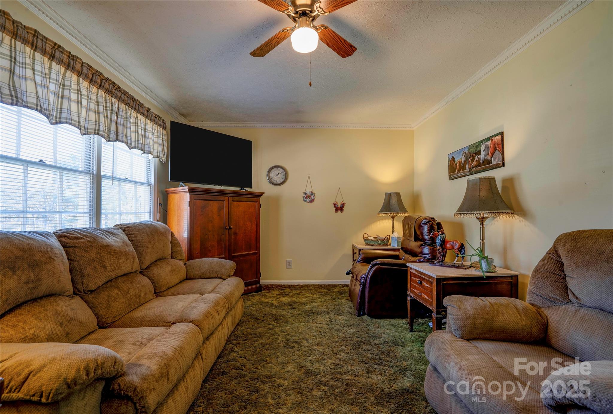 914 Parkwood Road Shelby, NC 28150 - Photo 3 of 40 a living room with furniture ceiling fan and a flat screen tv