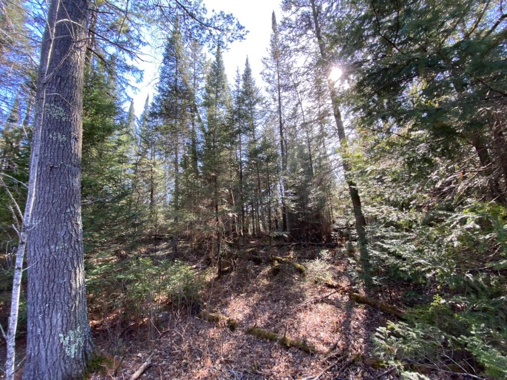 Lot14-15 Ryan Rpds Bluff Rhinelander, WI 54501 - Photo 2 of 16 Gallery Image 2