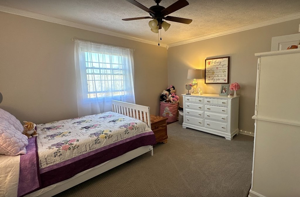 2150 Walter Stone Road Sparta, TN 38583 - Photo 34 of 53 Gallery Image 34