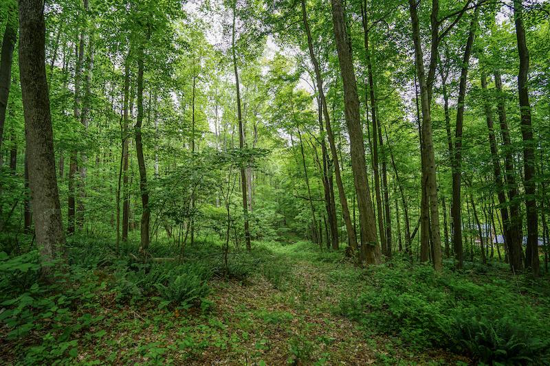 5924 Wilson Road Butler, OH 44822 - Photo 33 of 69