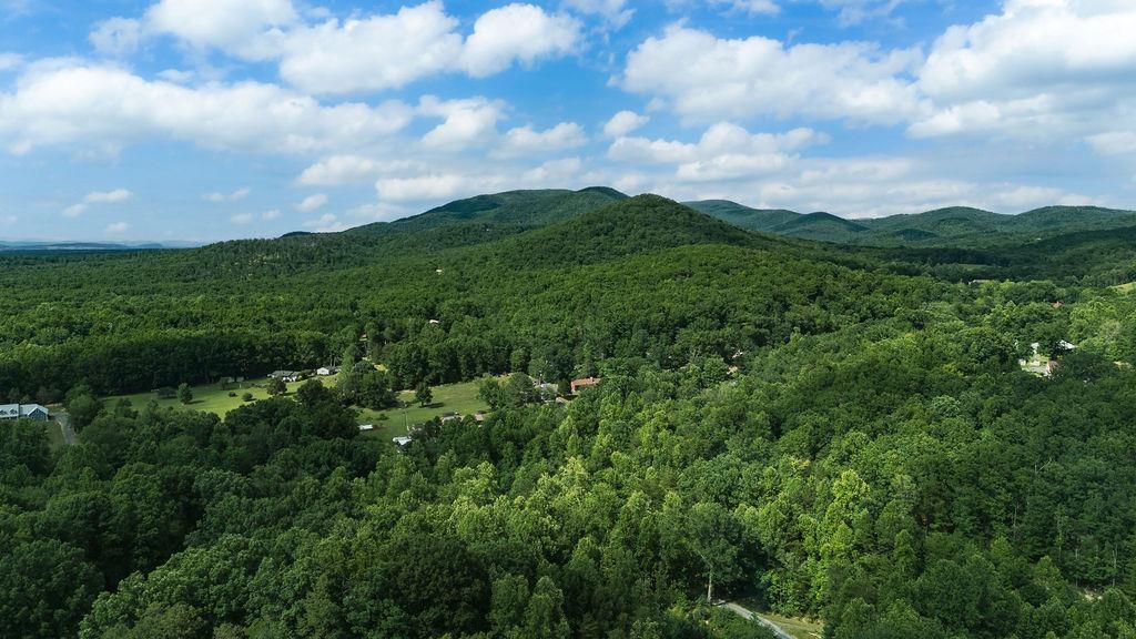 Tbd Calf Mountain Road Waynesboro, VA 22980 - Photo 4 of 36