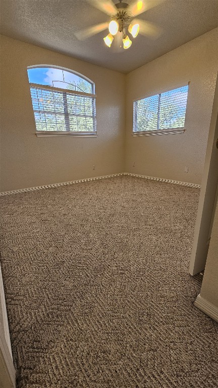 1301 County Road 262 Georgetown, TX 78633 - Photo 23 of 39