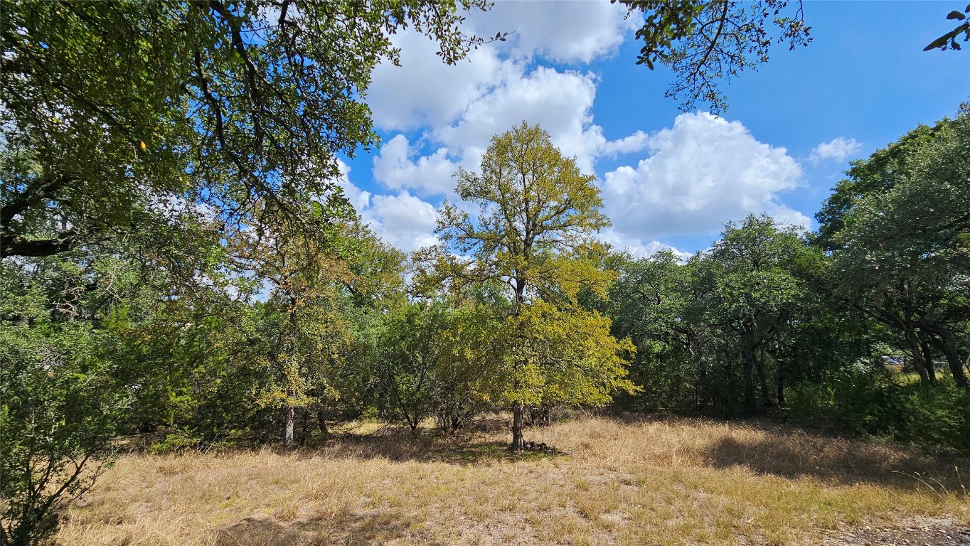 1301 County Road 262 Georgetown, TX 78633 - Photo 36 of 39