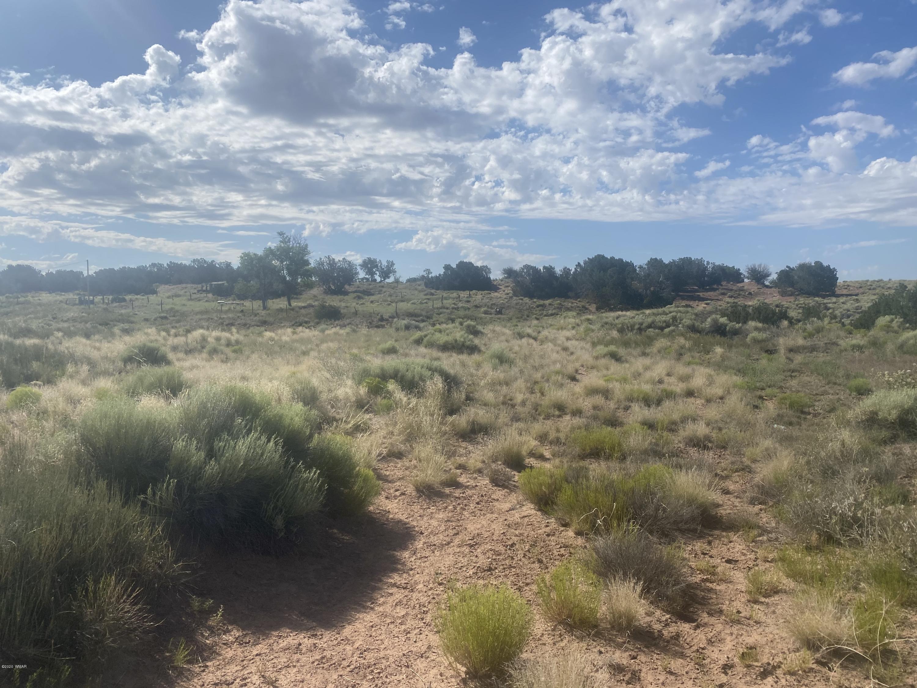 7396 Sanders Az 86512 Chambers, AZ 86502 - Photo 1 of 7