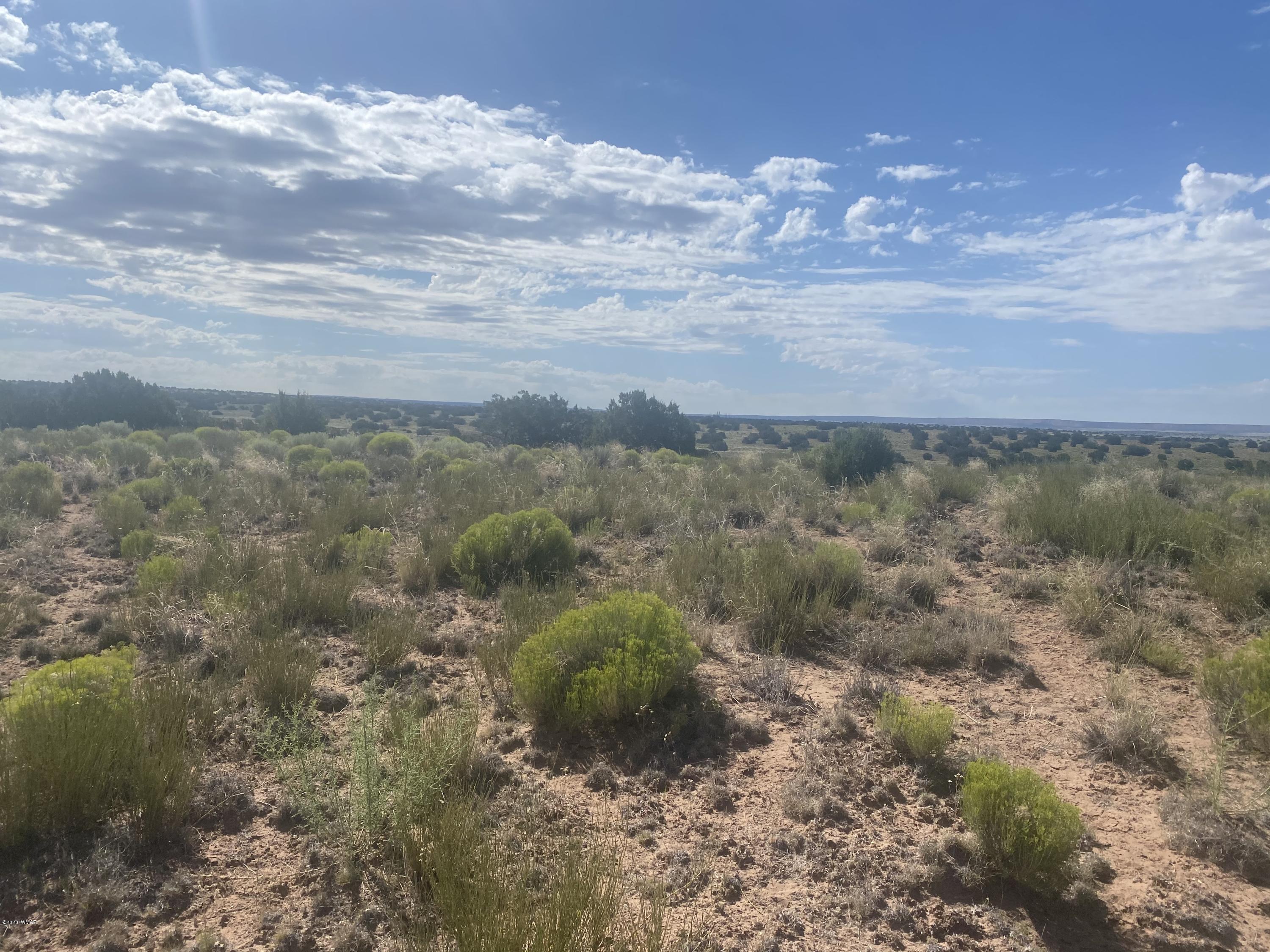 7396 Sanders Az 86512 Chambers, AZ 86502 - Photo 5 of 7
