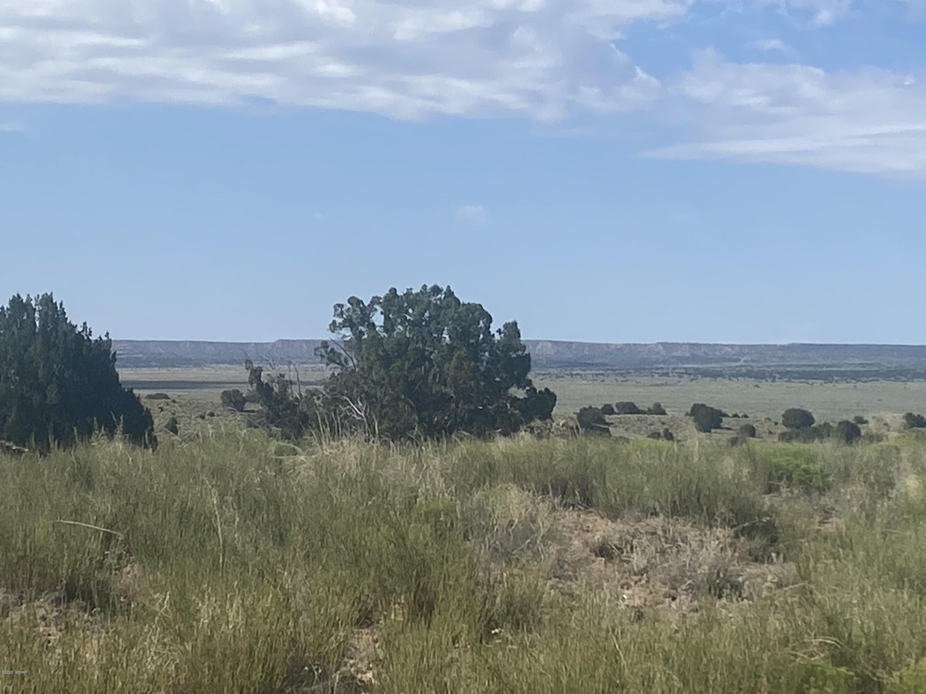 7396 Sanders Az 86512 Chambers, AZ 86502 - Photo 6 of 7