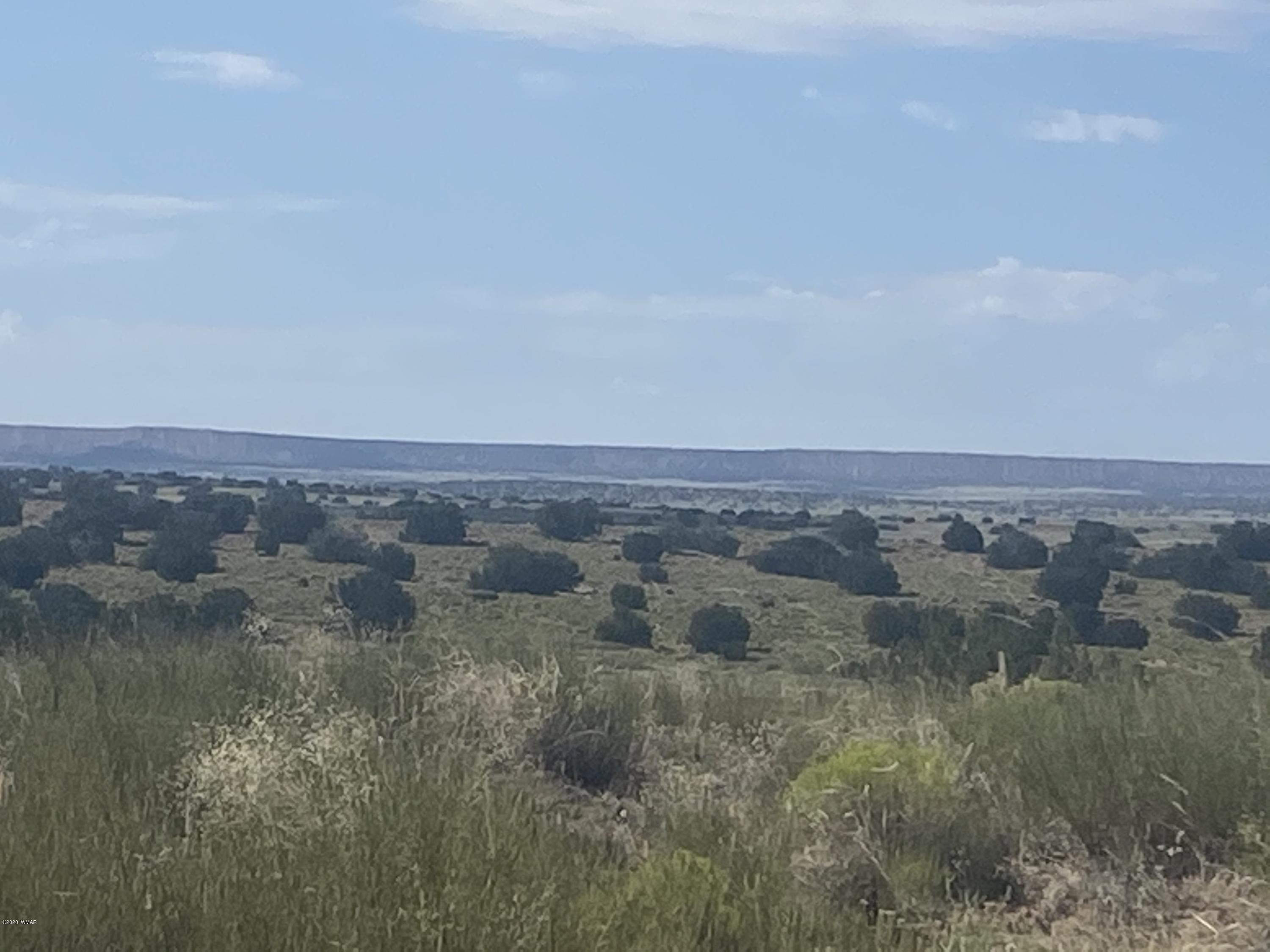 7396 Sanders Az 86512 Chambers, AZ 86502 - Photo 7 of 7