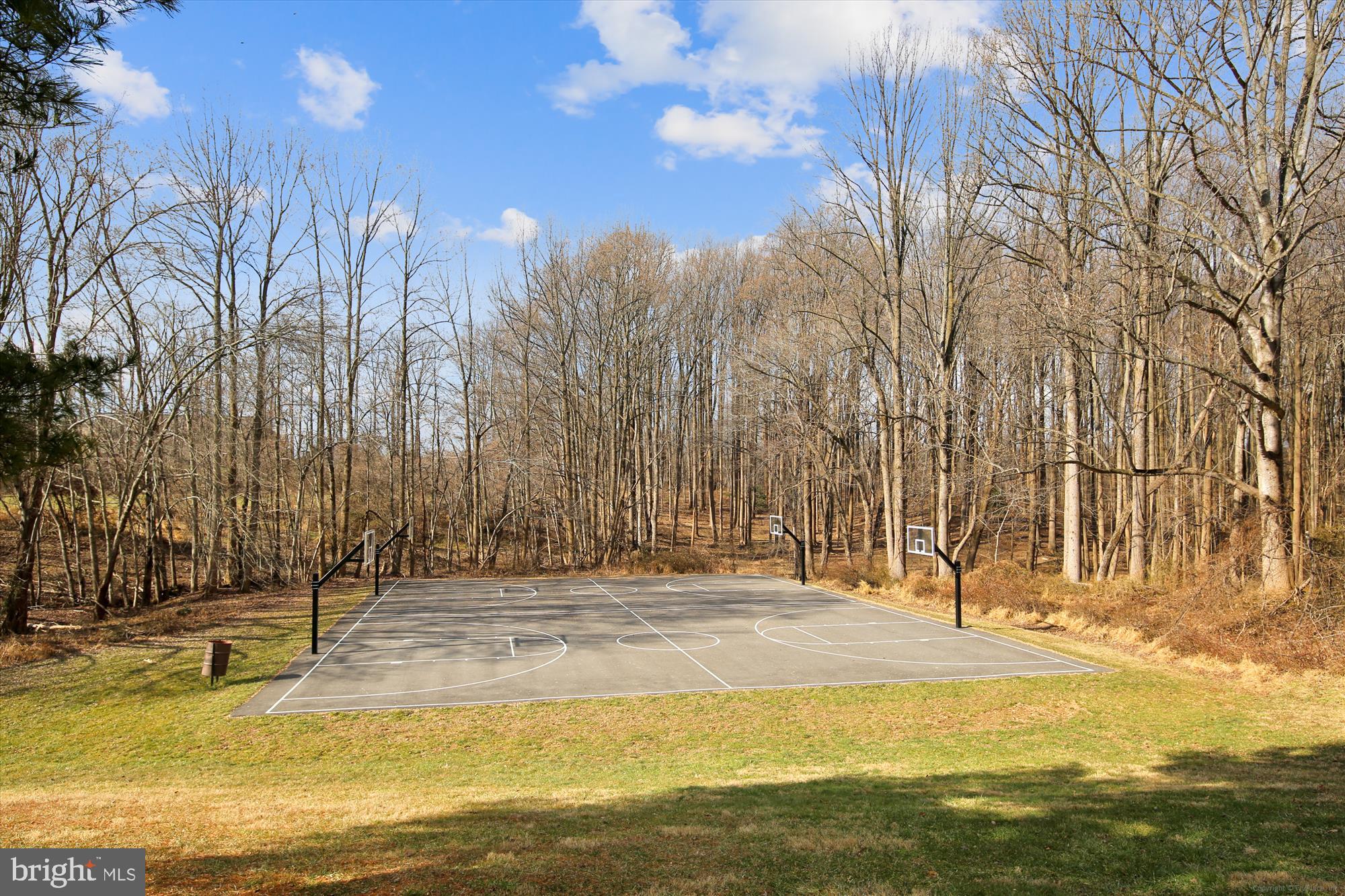 2839 Shepperton Terrace Silver Spring, MD 20904 - Photo 29 of 48 a view of swimming pool with an outdoor space and seating area
