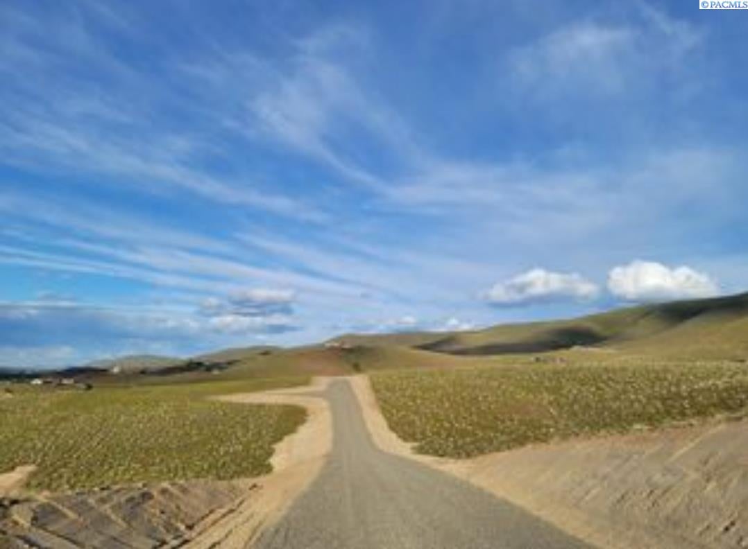Tbd South Tbd S Ward Gap Road Prosser, WA 99350 - Photo 6 of 30 Gallery Image 6