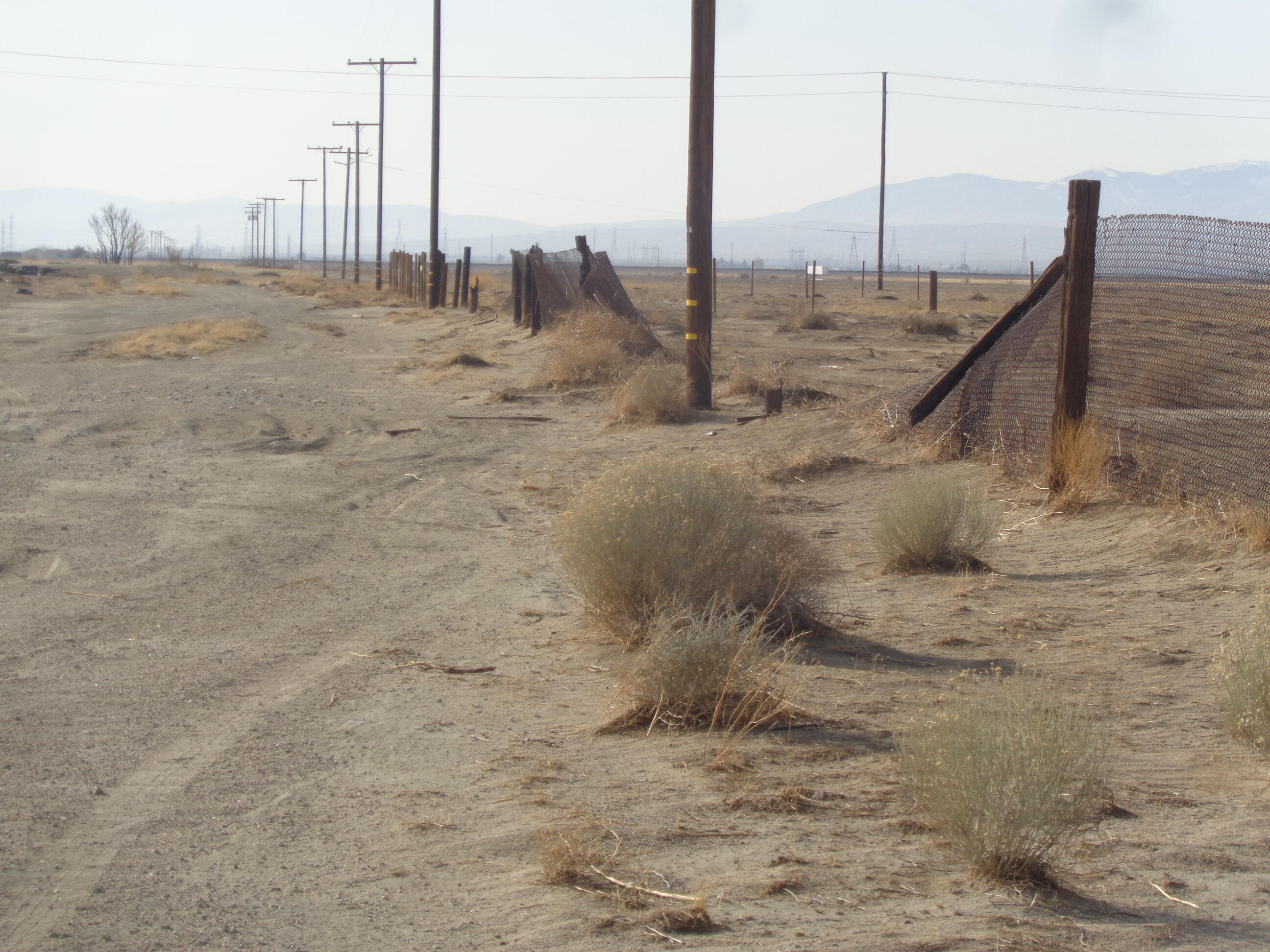 2011 67th Street West Rosamond, CA 93560 - Photo 21 of 21