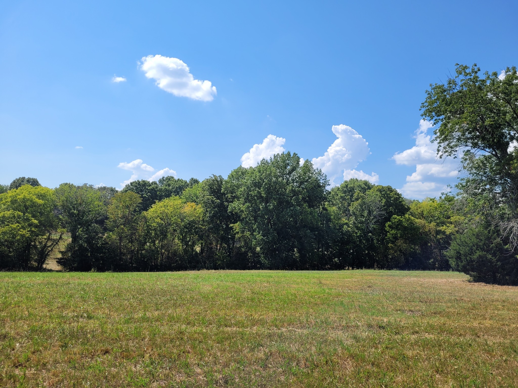 1289 Old Hopewell Road Bethpage, TN 37022 - Photo 37 of 42 Gallery Image 37