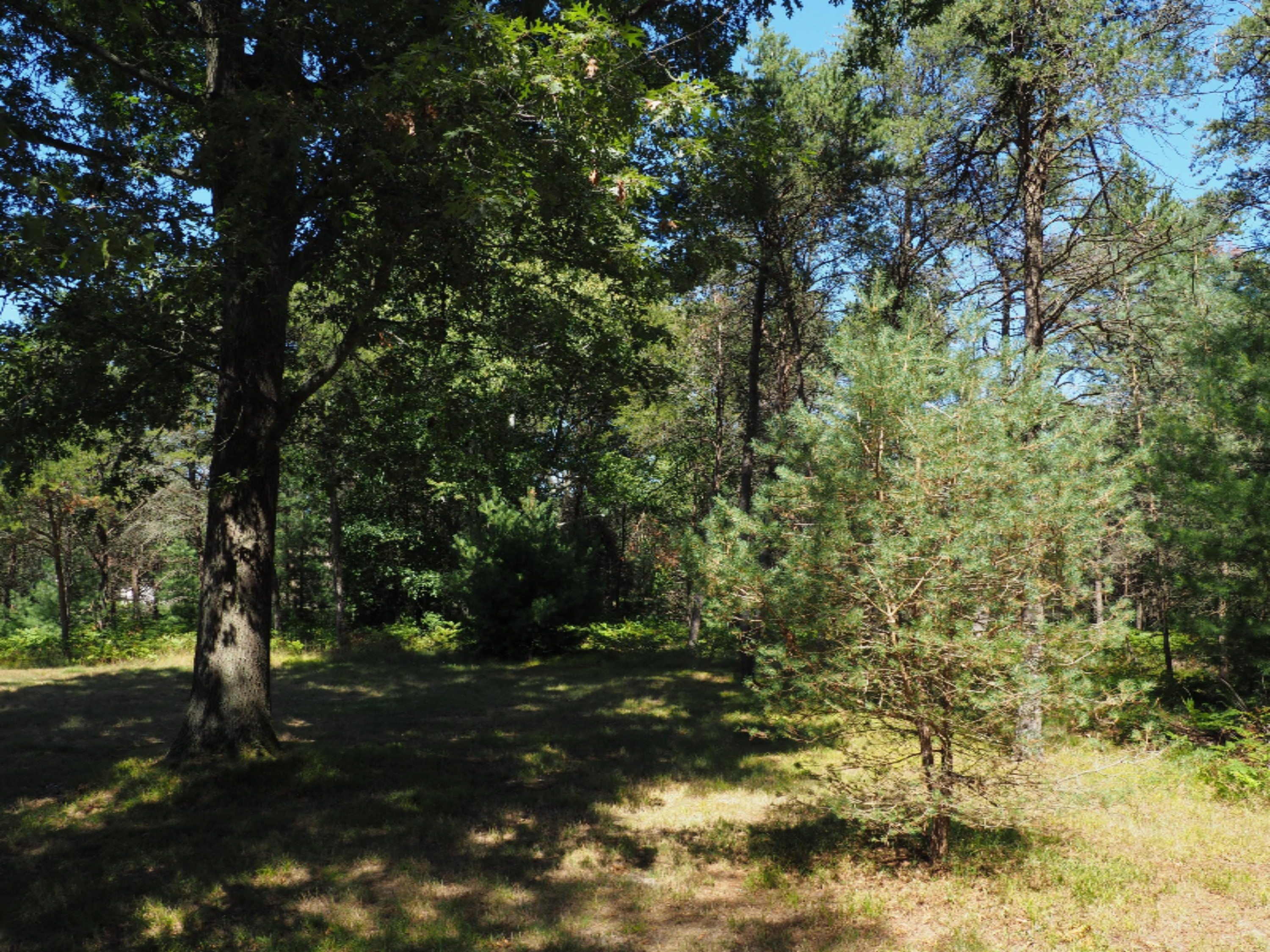 2705 Red Apple Road Manistee, MI 49660 - Photo 84 of 91 P8110171