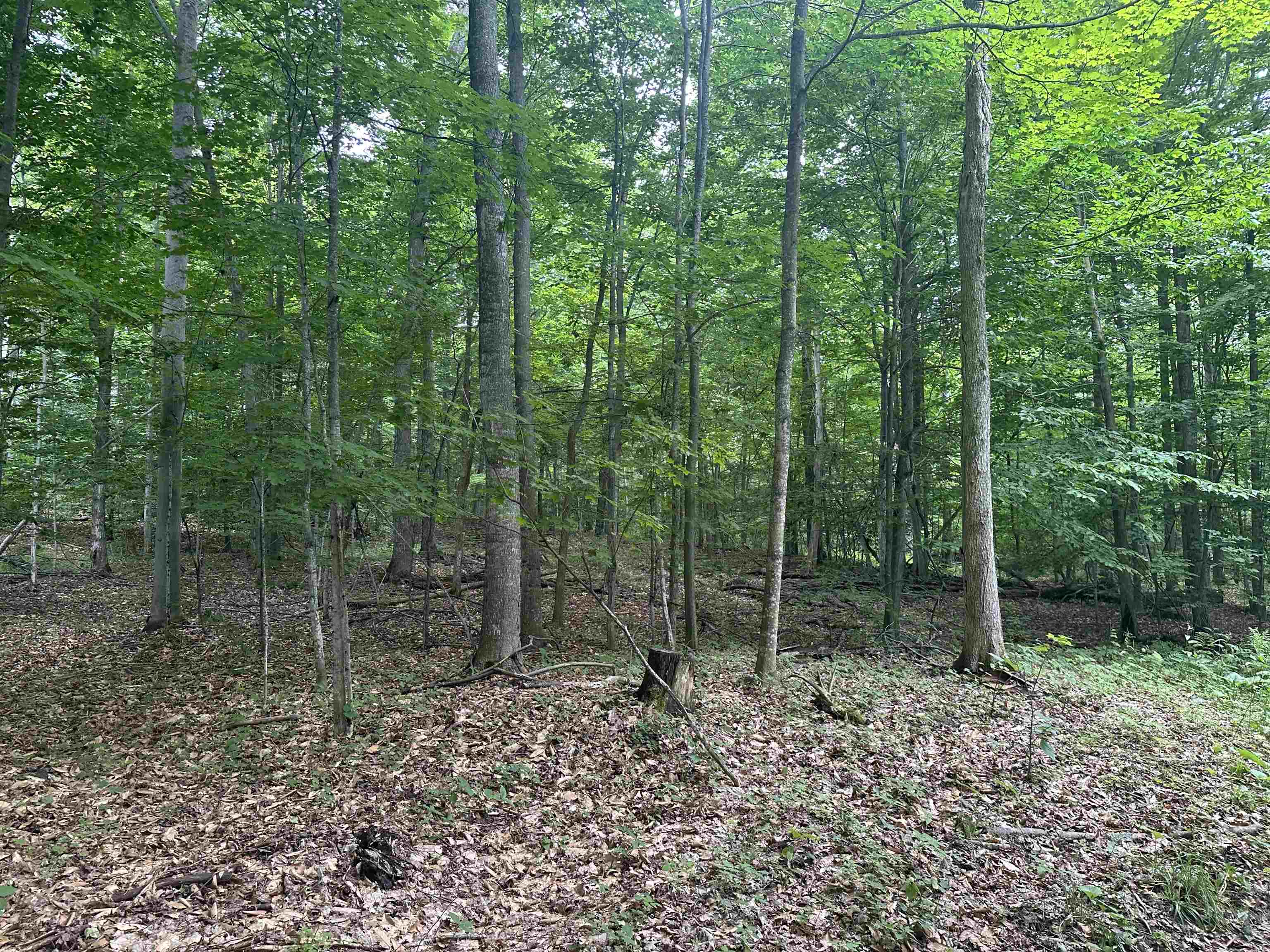 11605 South Tower Road, Unit LOT: 5 Maple City, MI 49664 - Photo 9 of 11