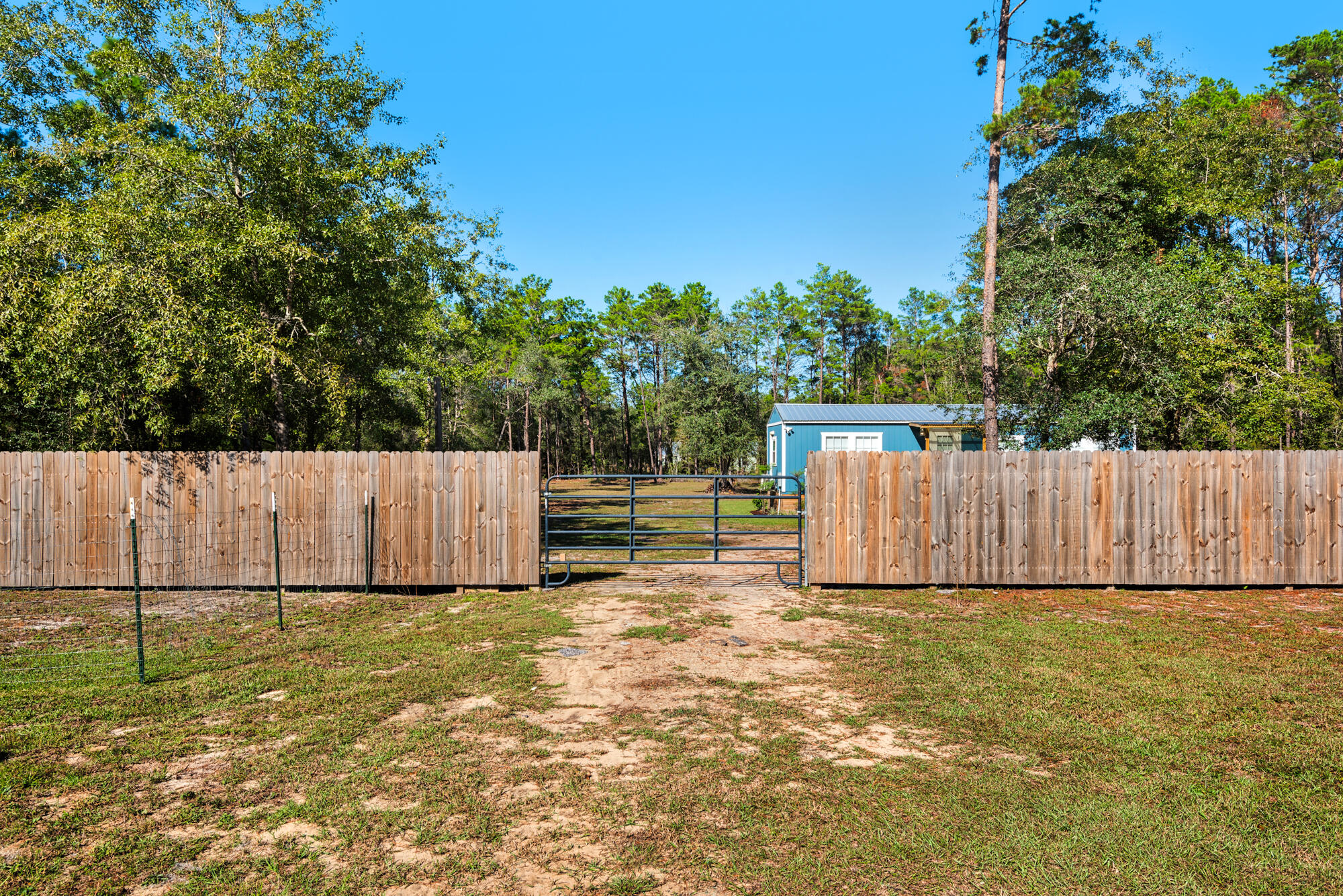 156 McCloud Road Freeport, FL 32439 - Photo 25 of 28 Front Driveway