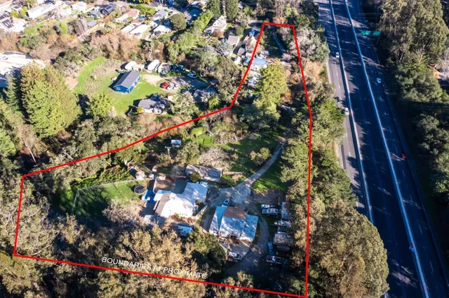 a picture of flowers