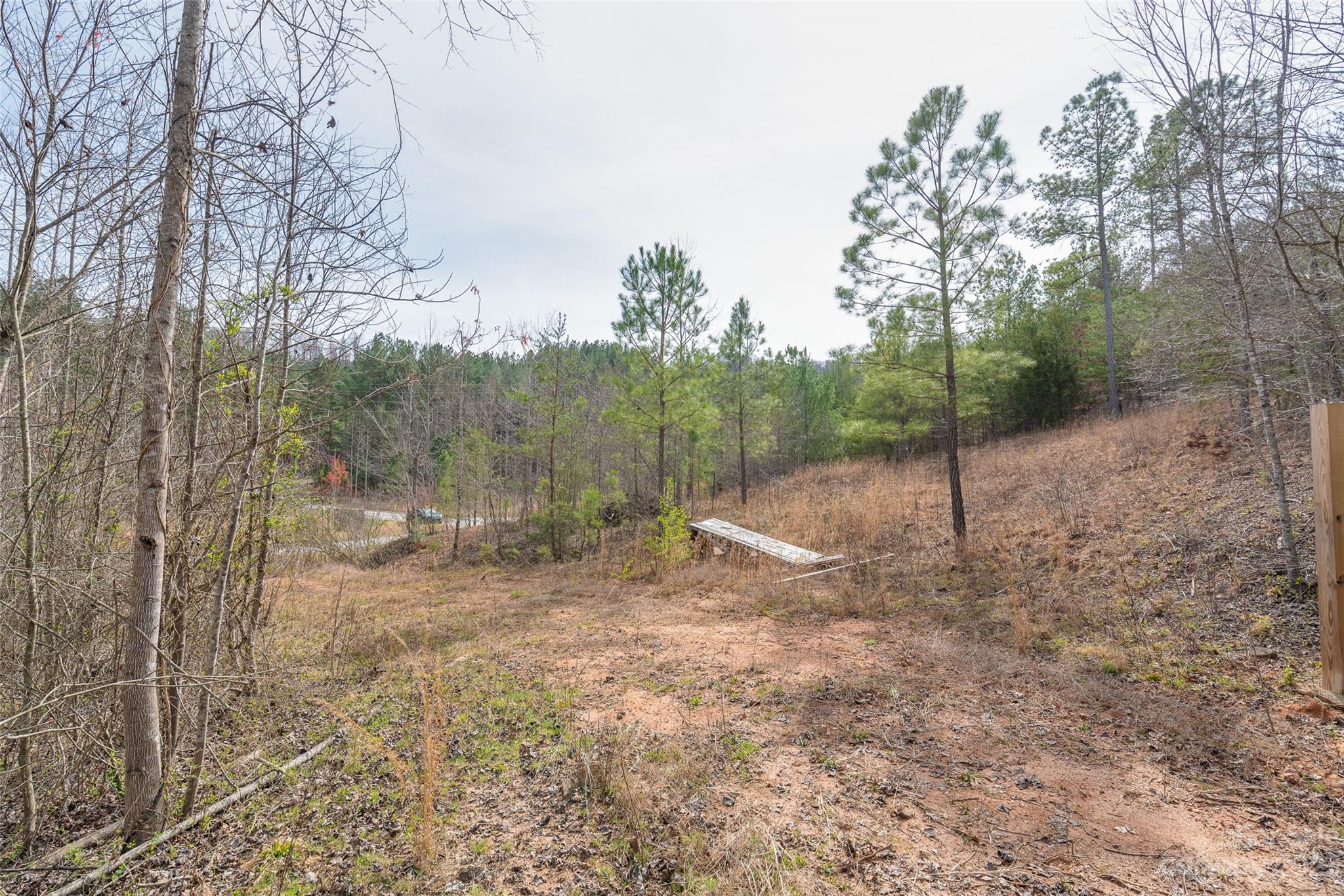 632 Fire Tower Road Bostic, NC 28018 - Photo 14 of 17 Gallery Image 14