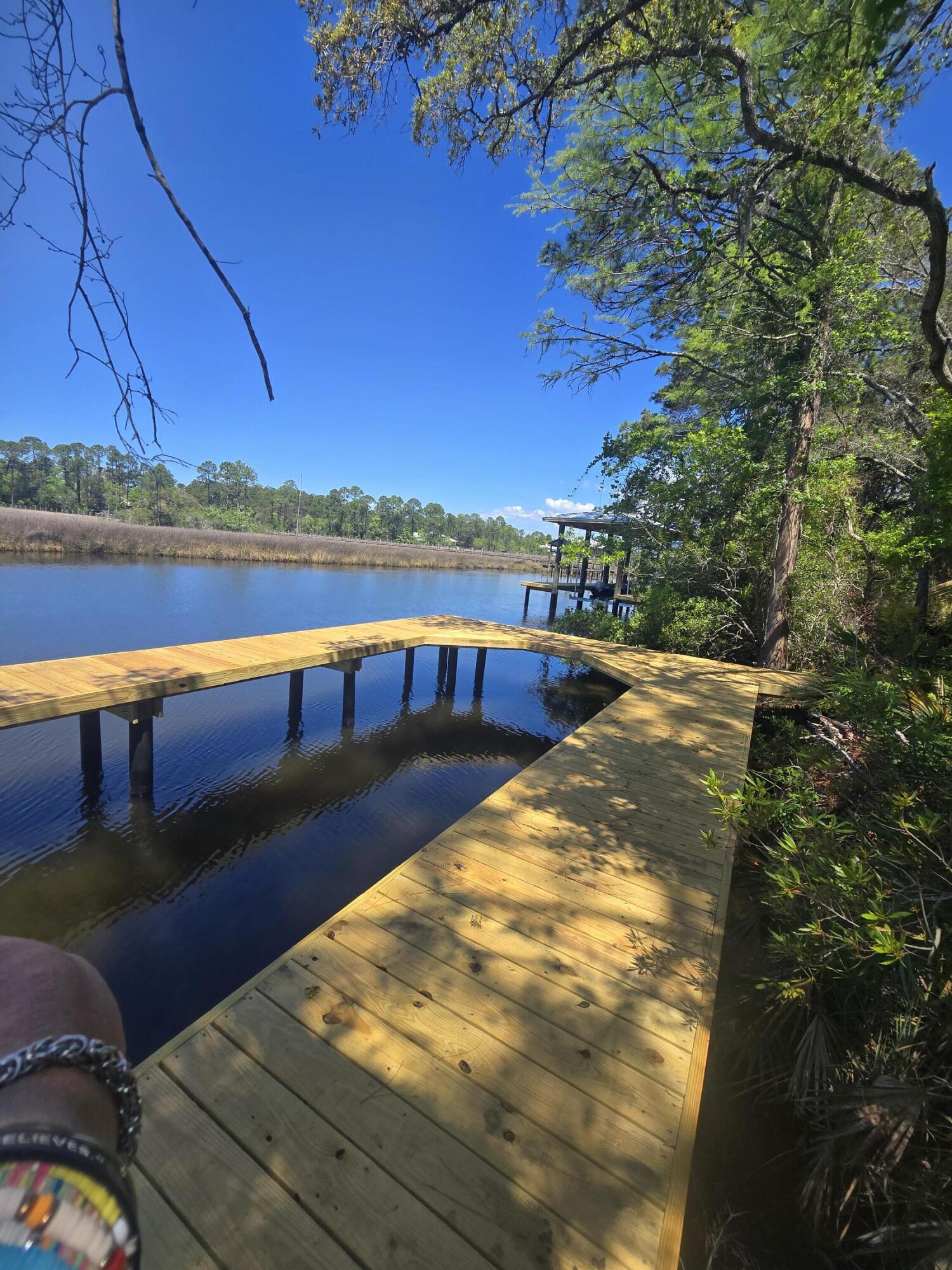 769 Old Ferry Road Santa Rosa Beach, FL 32459 - Photo 65 of 67 a view of swimming pool with lake view