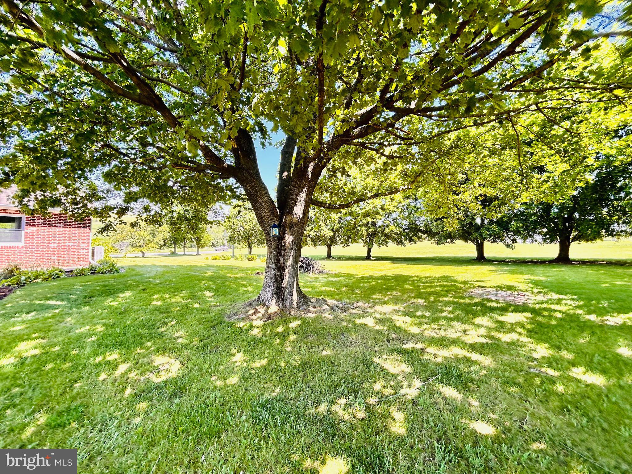 2068 Earlystown Road Centre Hall, PA 16828 - Photo 55 of 57