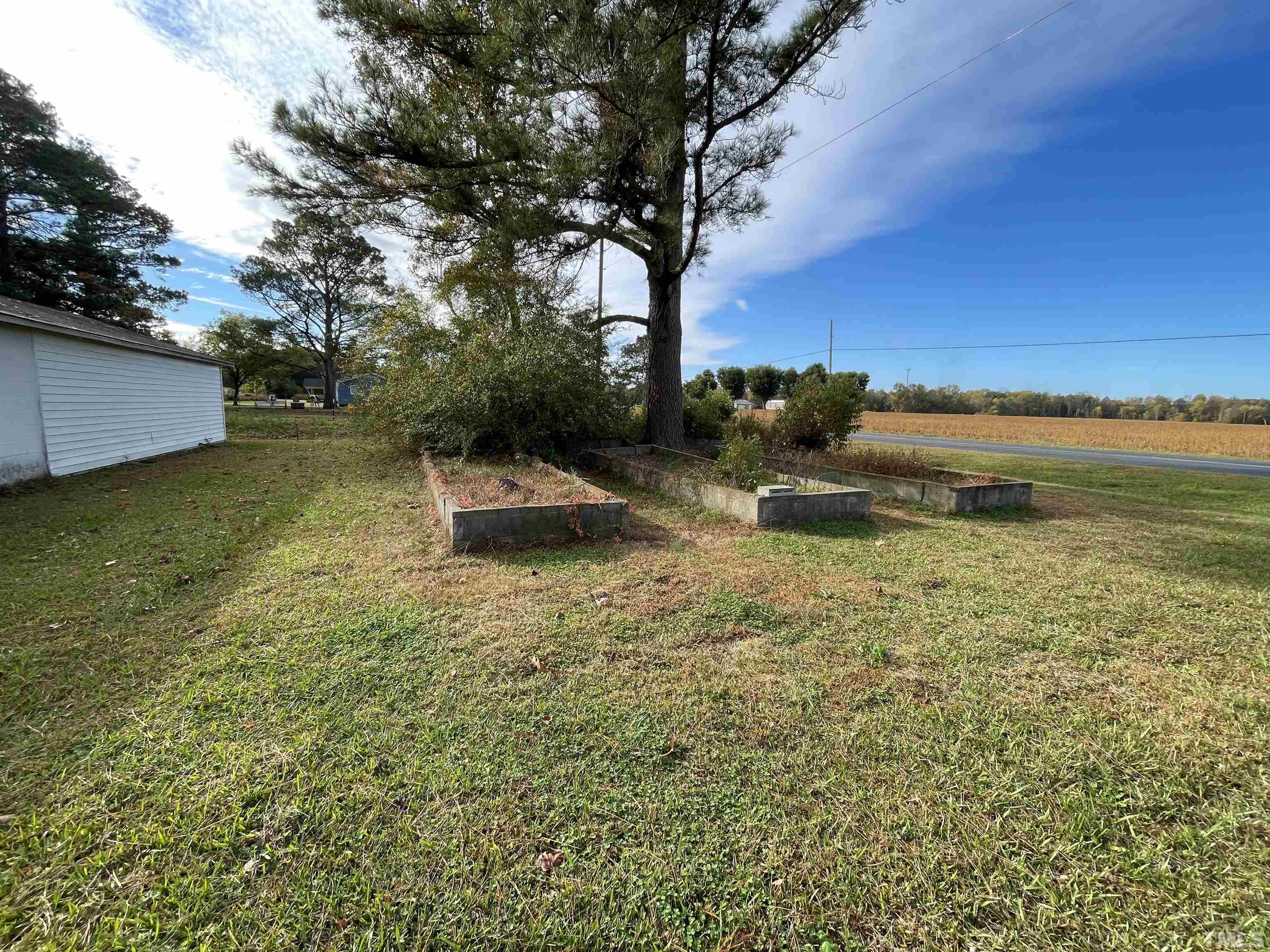 137 Wiggs Road Selma, NC 27576 - Photo 15 of 18 Gallery Image 15
