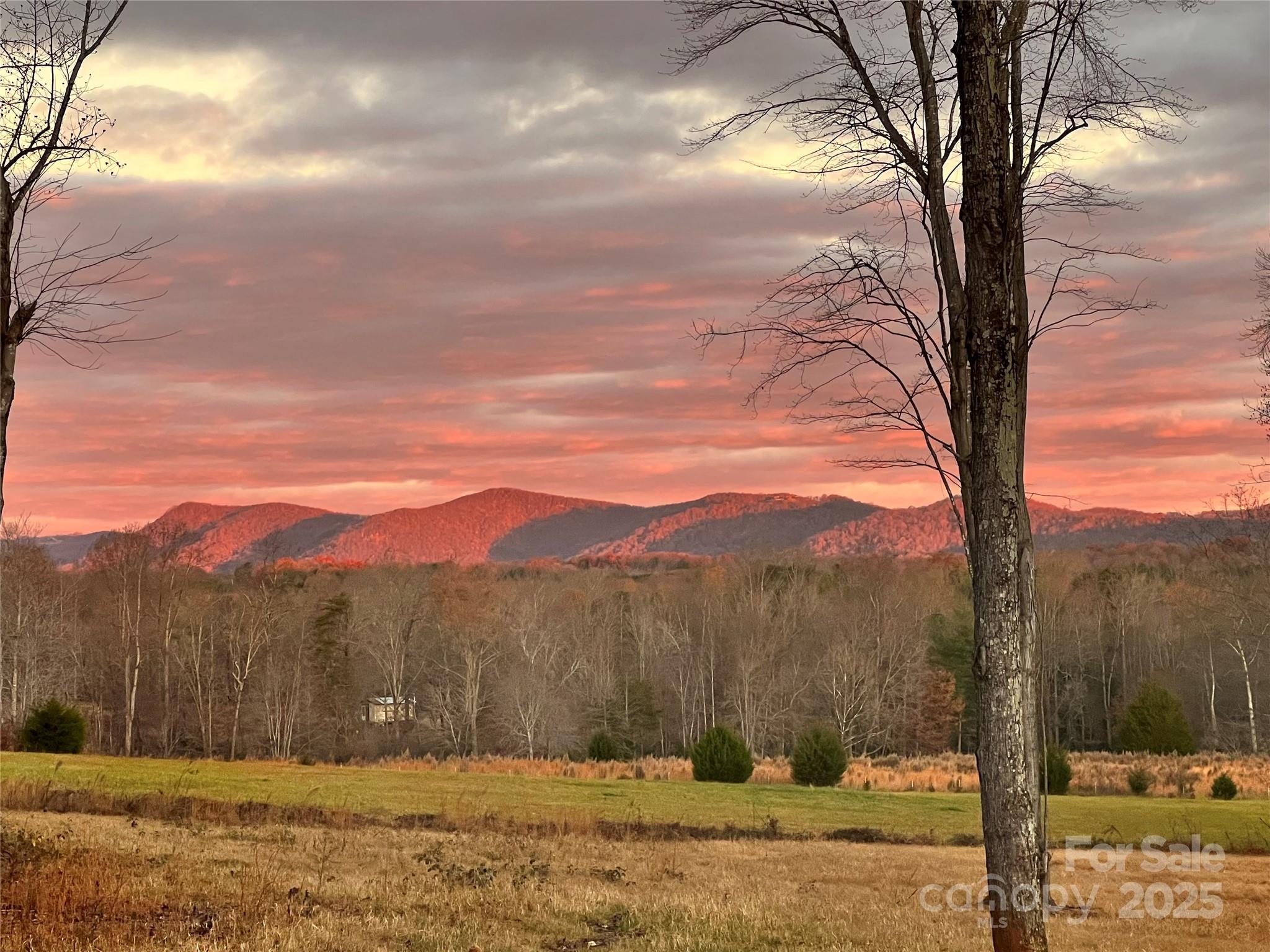 225 Zeb Road Union Grove, NC 28689 - Photo 2 of 39 Gallery Image 2