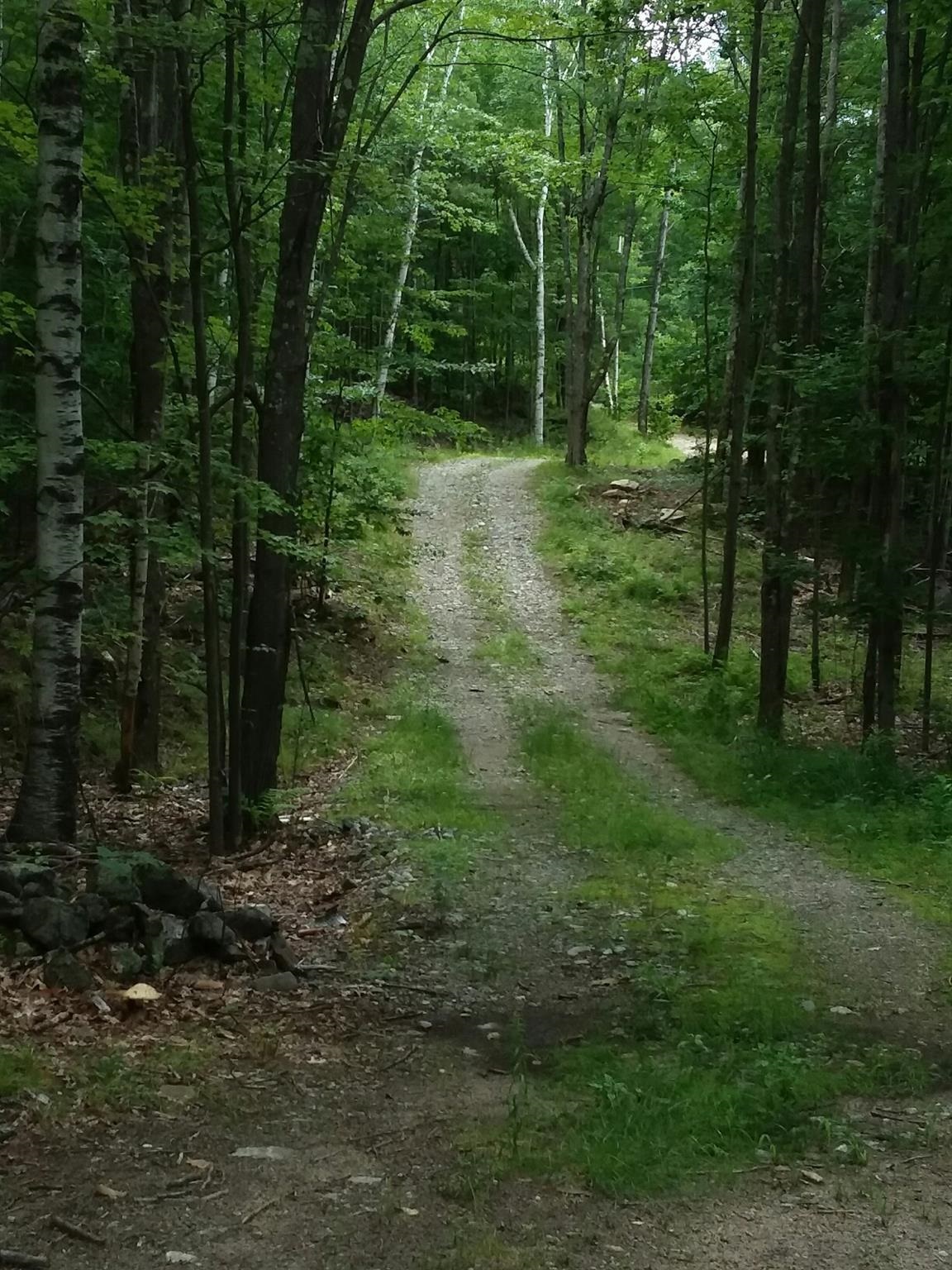 0 Old Wolfeboro Road Alton, NH 03809 - Photo 1 of 1