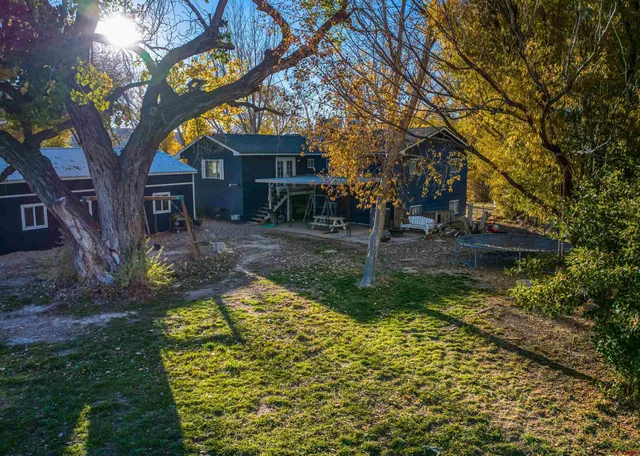 a view of a yard with plants and a large tree