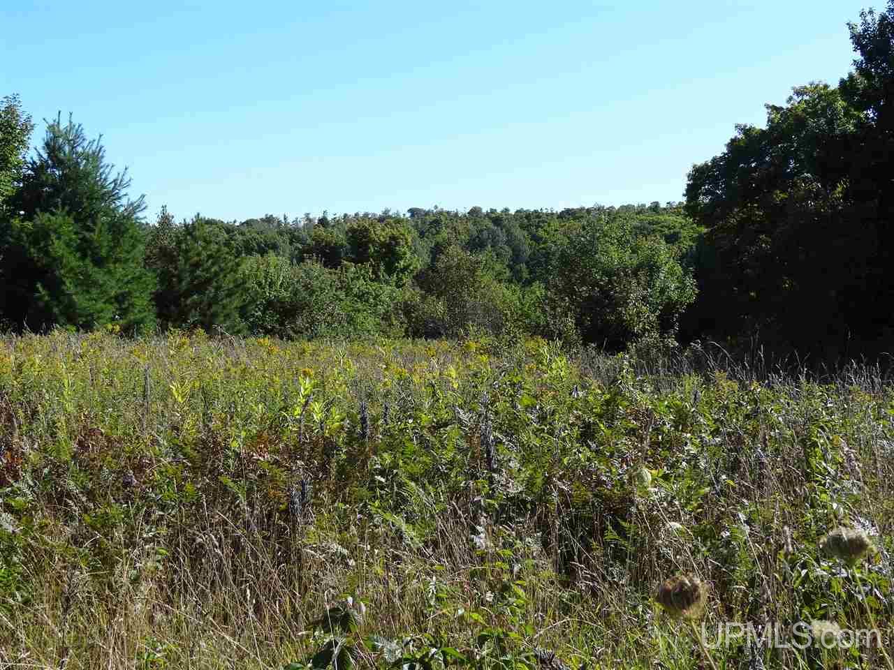 Tbd Cemetery Road Atlantic Mine, MI 49963 - Photo 21 of 27