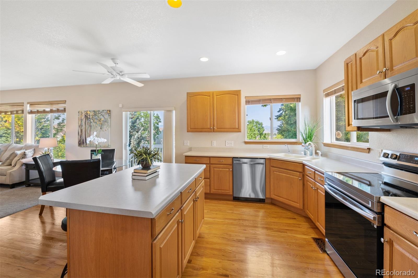 503 West Winterthur Way Highlands Ranch, CO 80129 - Photo 16 of 40