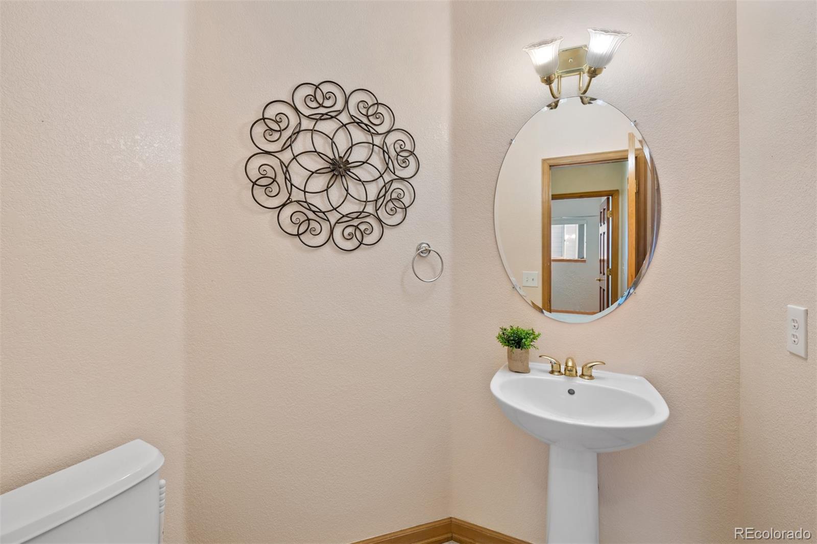 503 West Winterthur Way Highlands Ranch, CO 80129 - Photo 19 of 40