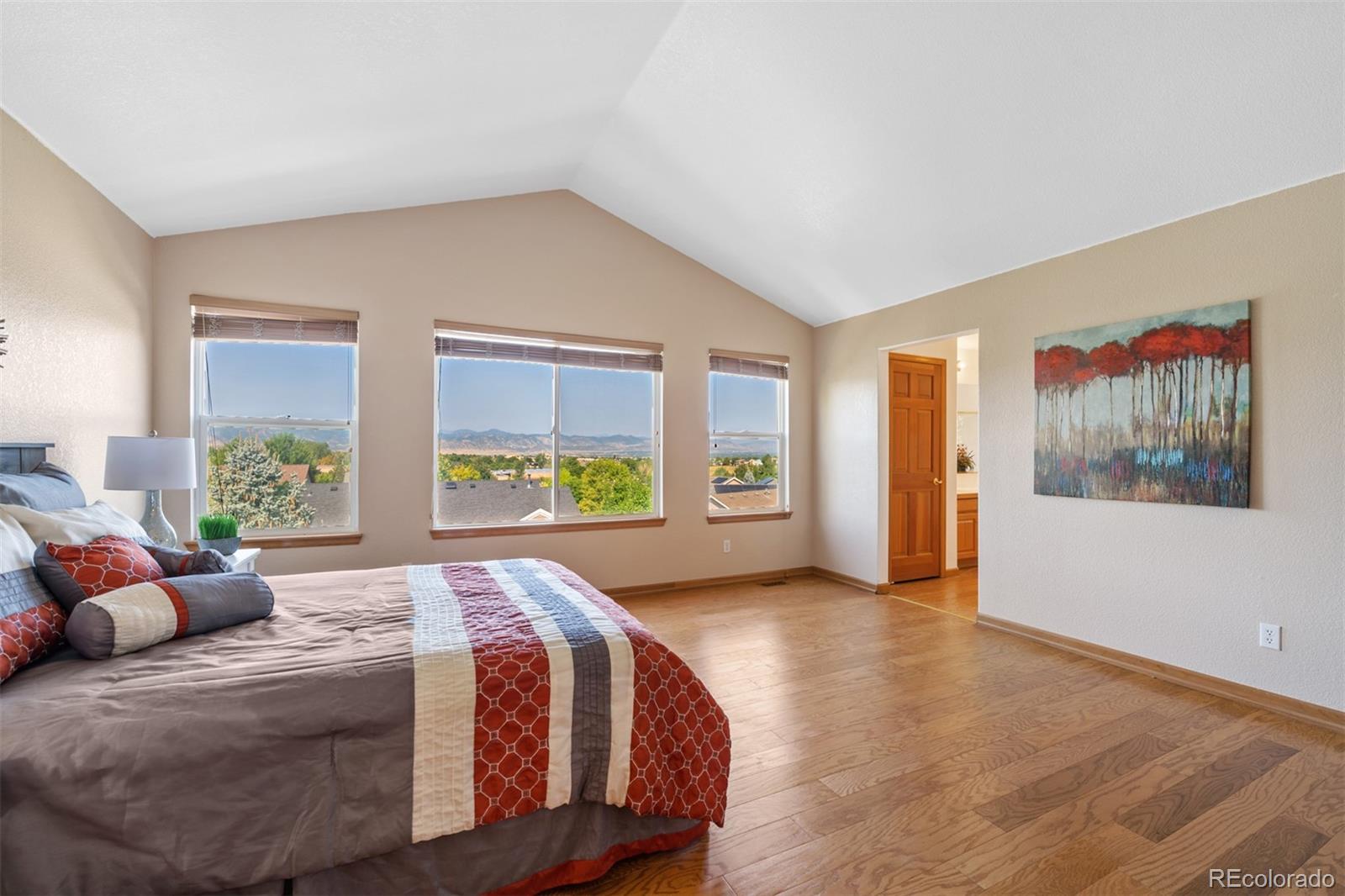503 West Winterthur Way Highlands Ranch, CO 80129 - Photo 23 of 40