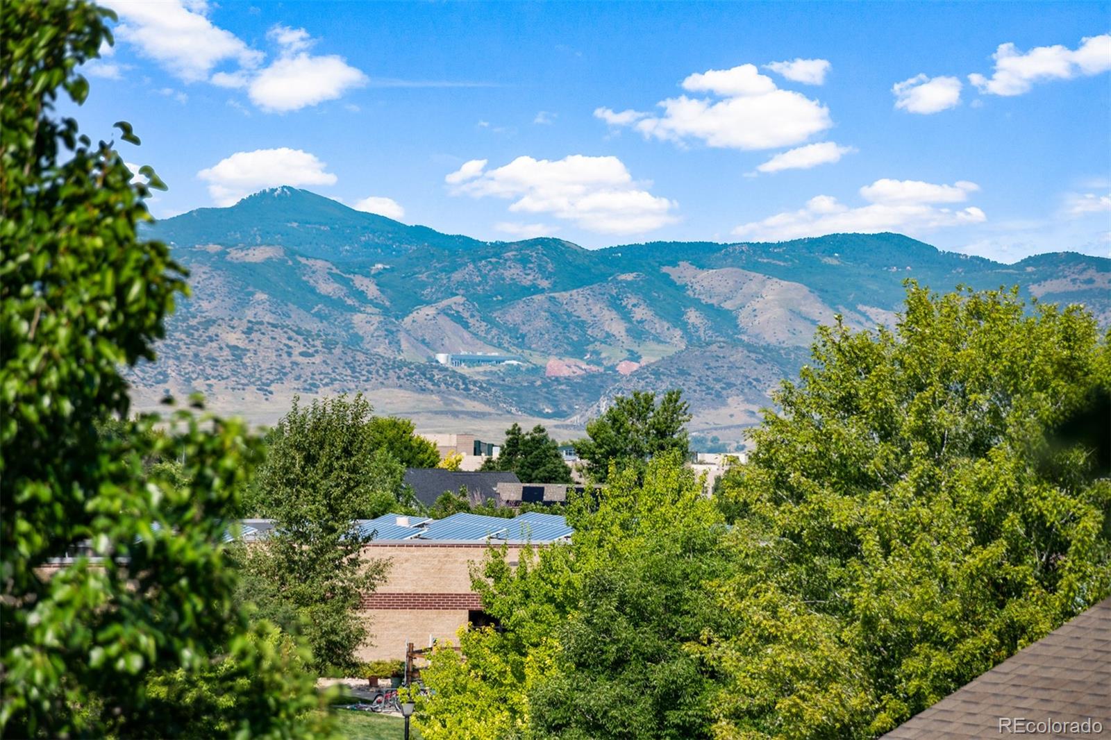 503 West Winterthur Way Highlands Ranch, CO 80129 - Photo 3 of 40