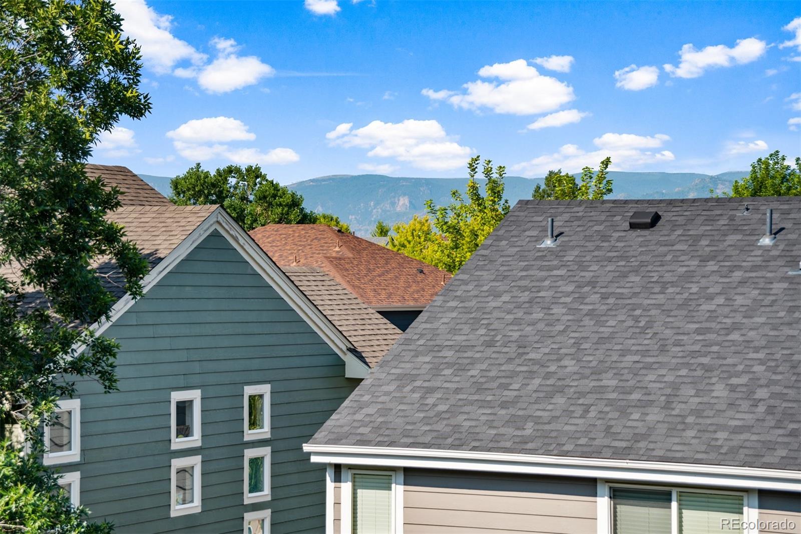 503 West Winterthur Way Highlands Ranch, CO 80129 - Photo 5 of 40