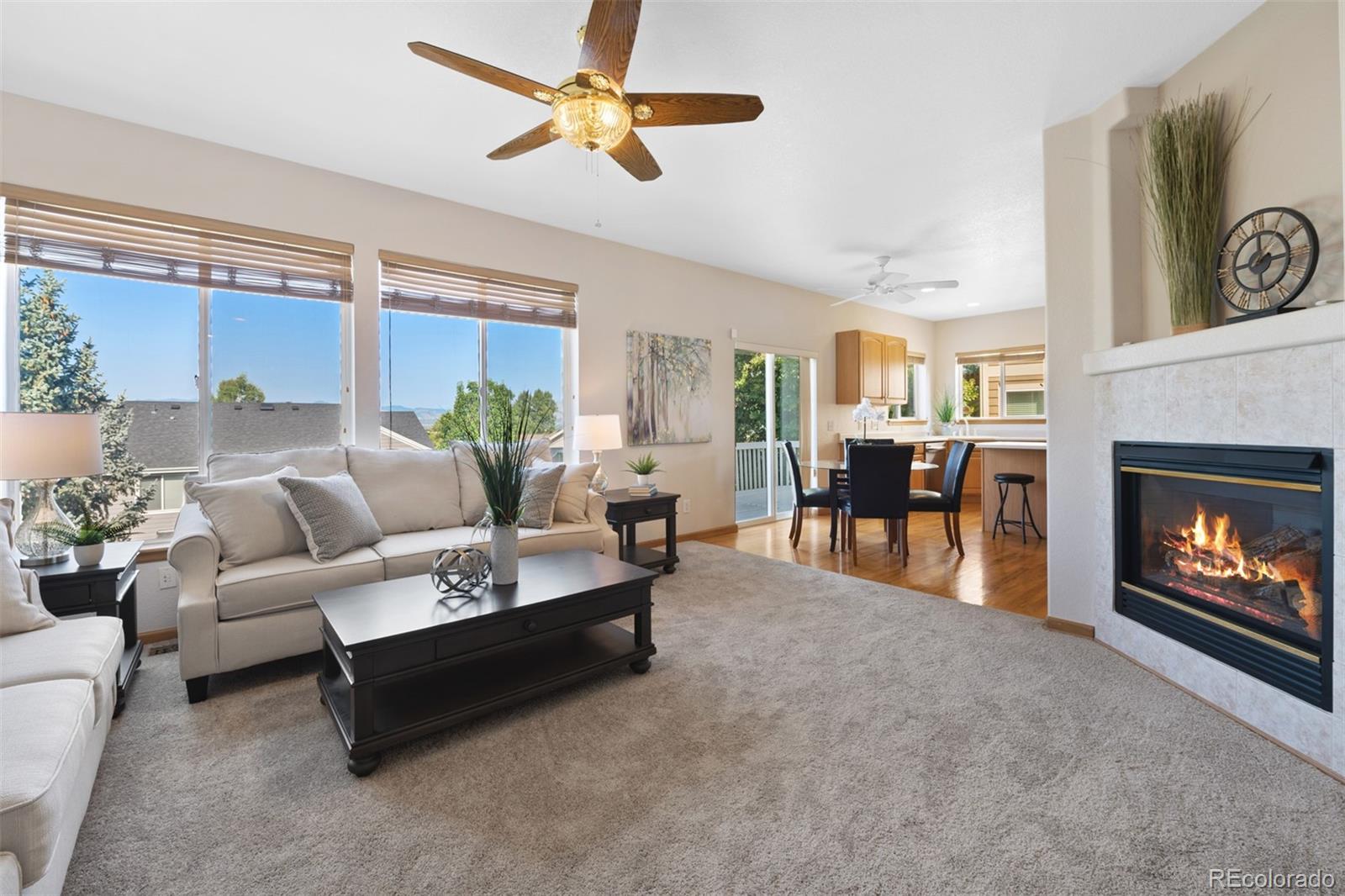 503 West Winterthur Way Highlands Ranch, CO 80129 - Photo 10 of 40