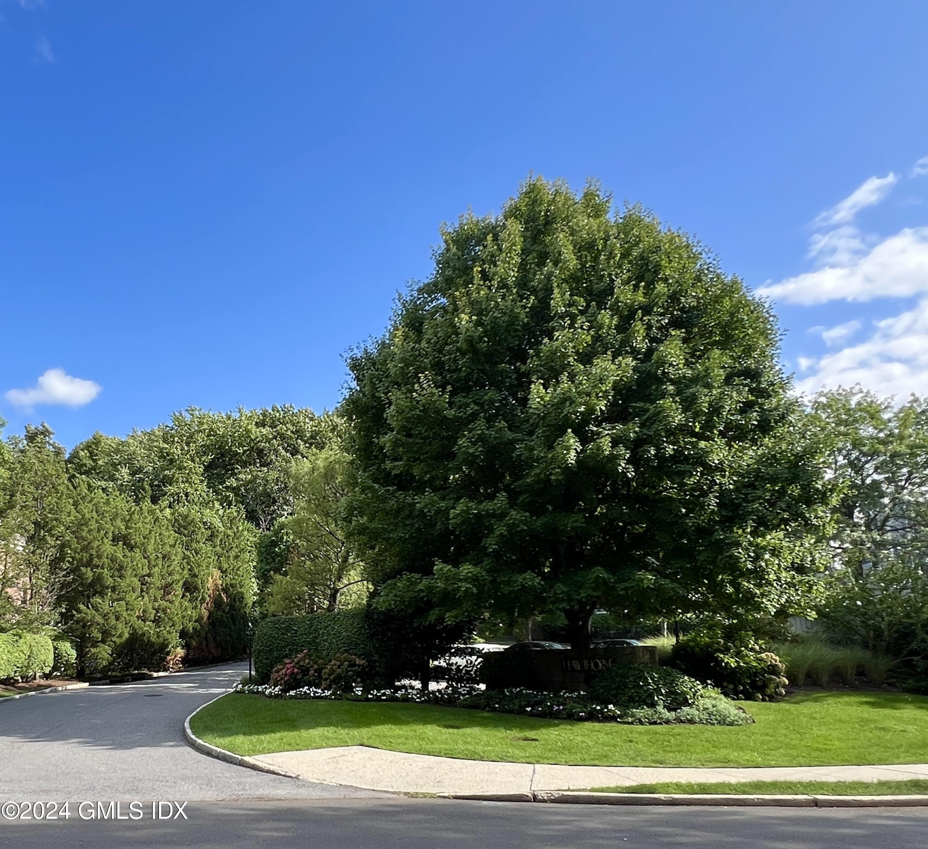 351 Pemberwick Road, Unit 206 Greenwich, CT 06831 - Photo 25 of 25 a view of a backyard
