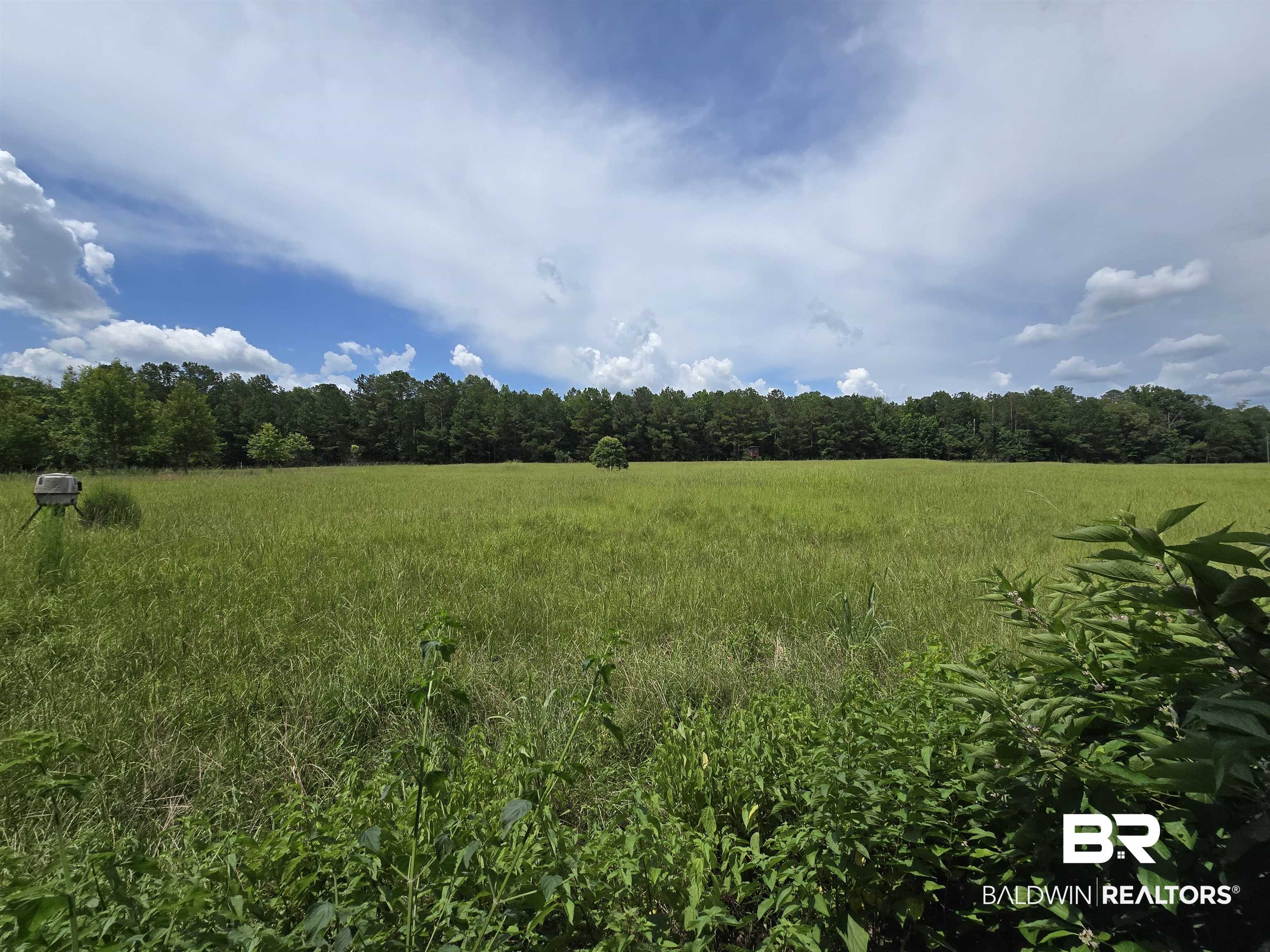0 Langham Road Repton, AL 36475 - Photo 3 of 8