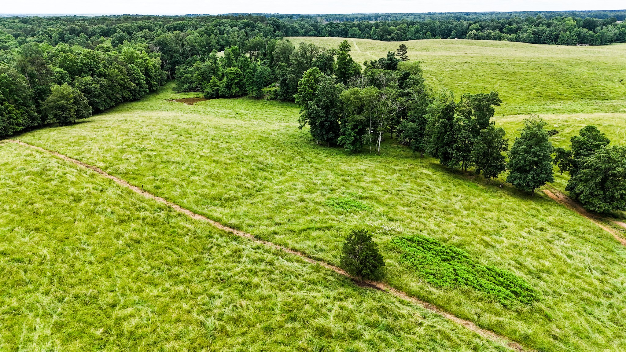 1198 David Patterson Road Lutts, TN 38471 - Photo 69 of 82 a view of lake with green space