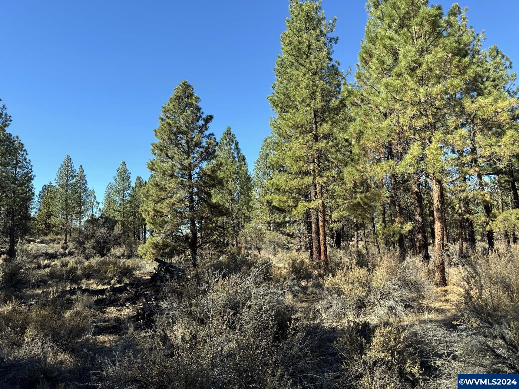 600 Oregon Pines Road Chiloquin, OR 97624 - Photo 42 of 49