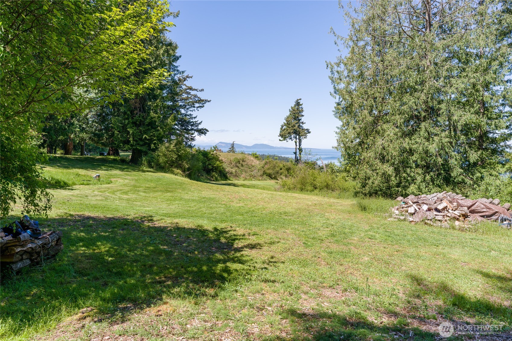 463 Wright Road Orcas Island, WA 98245 - Photo 19 of 40 a view of a field with an trees