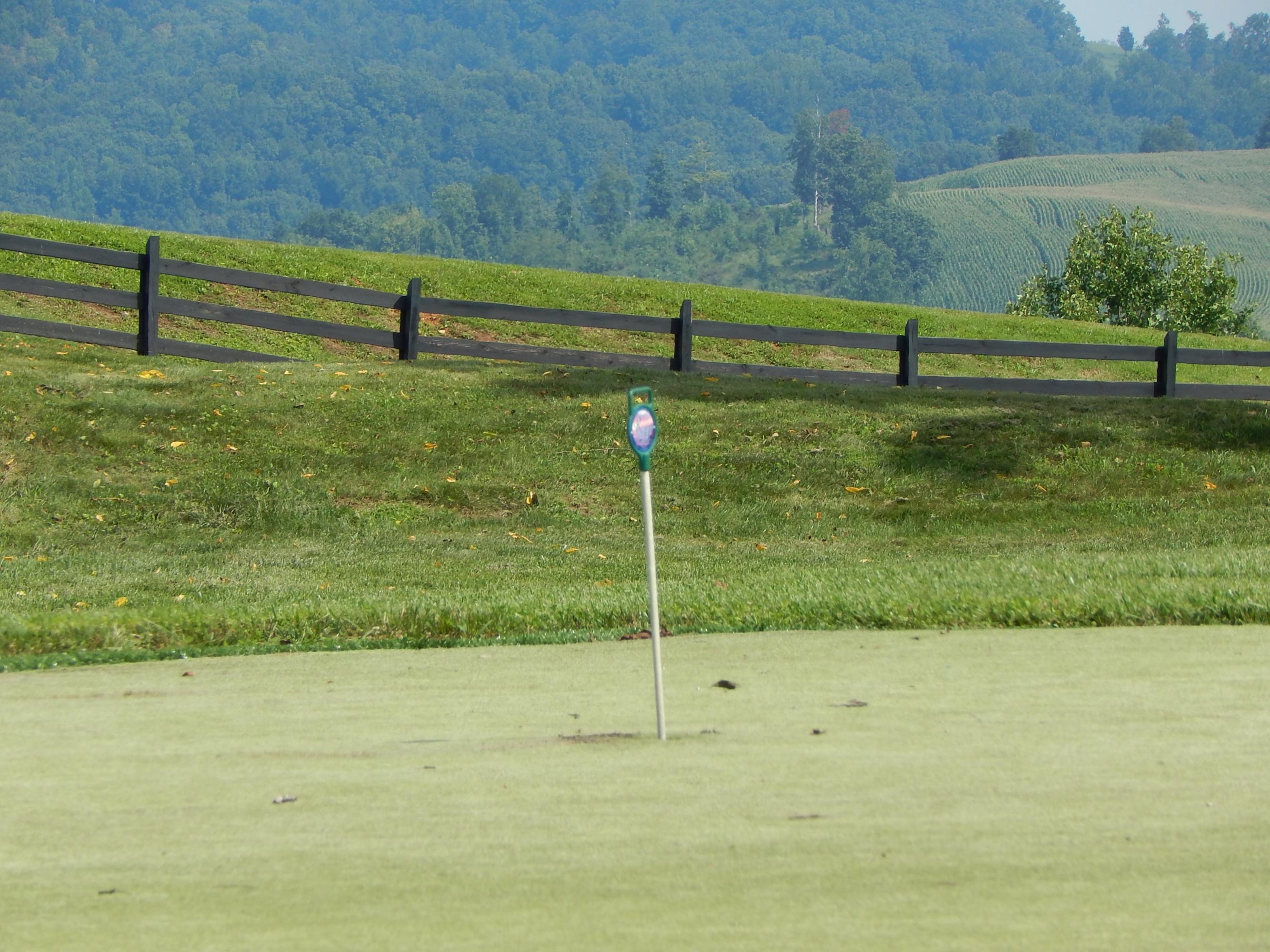 Tortiose Shell New Tazewell, TN 37825 - Photo 5 of 8 DSCN1005